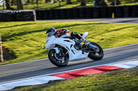 Evening Low_Mid Group White Bikes